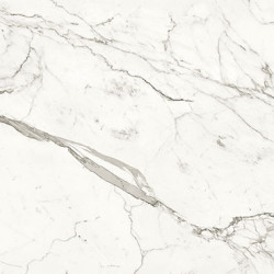Statuario Supremo Porcelain