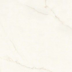 Calacatta Apuano Porcelain