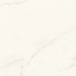 Calacatta Apuano Porcelain