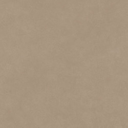 Boost Natural Ecru Porcelain