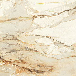 Calacatta Antique Porcelain