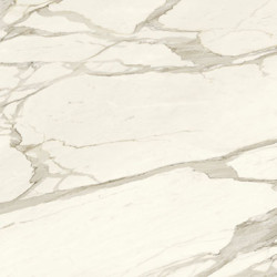 Calacatta Bernini Porcelain