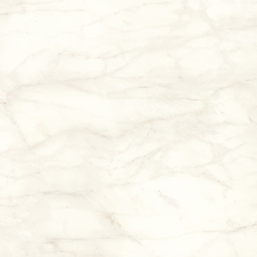 Calacatta Delicato Porcelain