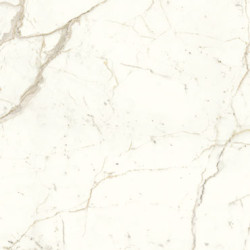 Calacatta Prestigio Porcelain