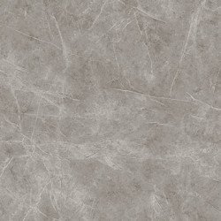 Light Grey Stone Porcelain