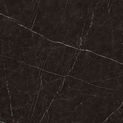 Nero Marquina Porcelain