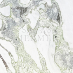 Oyster Green