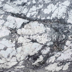 Iceberg