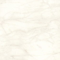Calacatta Delicato Porcelain