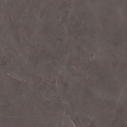 Precious Brown Porcelain